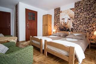 Отели типа «постель и завтрак» Gronik Groń Стандартный двухместный номер с 1 кроватью-12